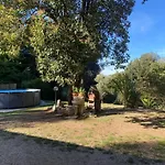 Faraway House Oda ve Kahvaltı