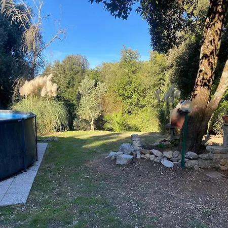 Faraway House Bed & Breakfast Narni
