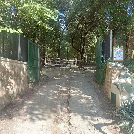 فندق مبيت وإفطار Faraway House 3*