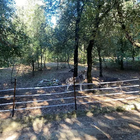Bed & Breakfast Faraway House Narni
