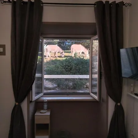 Bed & Breakfast Faraway House 3*
