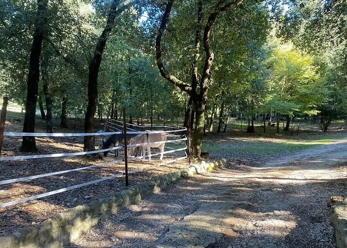 Faraway House Bed & Breakfast 3*