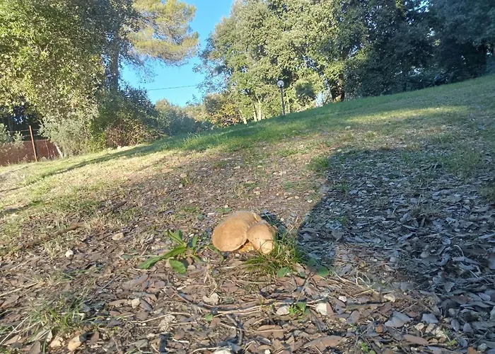 Faraway House Panzió Narni